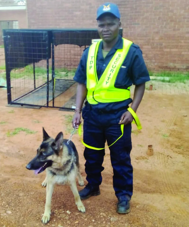 Security officer conducting a dog patrol